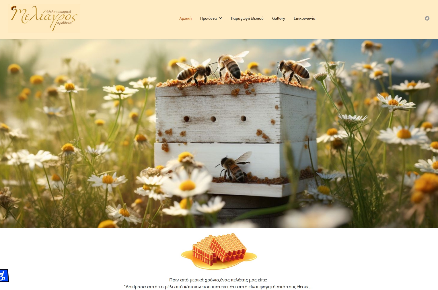 Κατασκευή Ιστοσελίδας -  Μελίαγρος